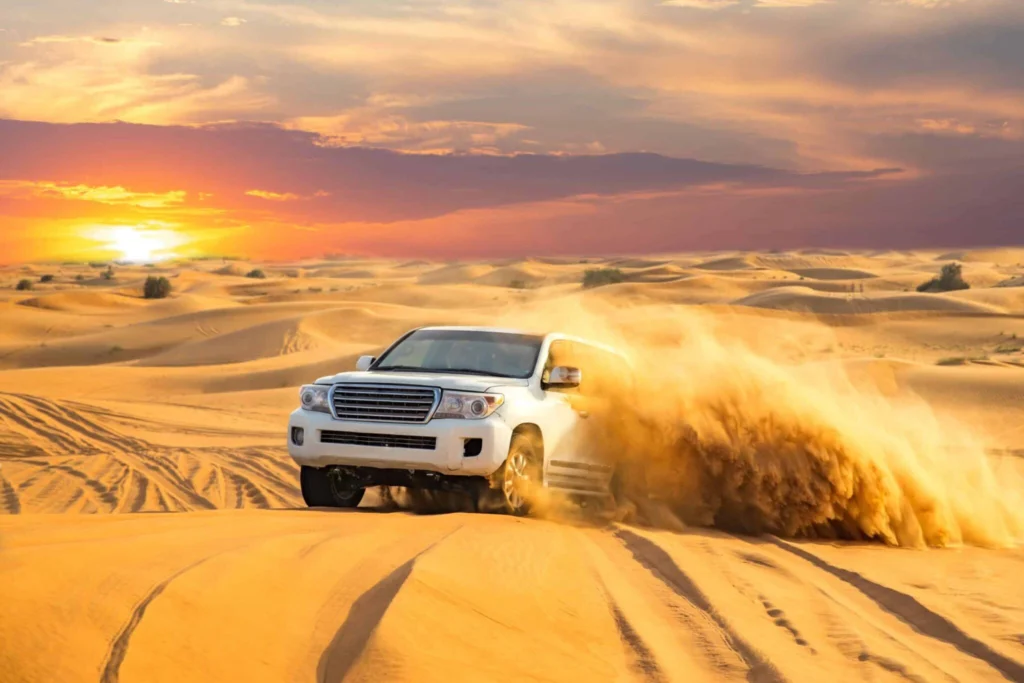 Dune Buggies and Off-road Experience